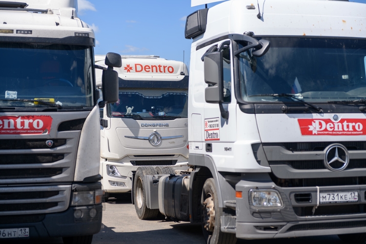 «Финансовый Сталинград» Dentro: компания прорывается из «кризисного котла»