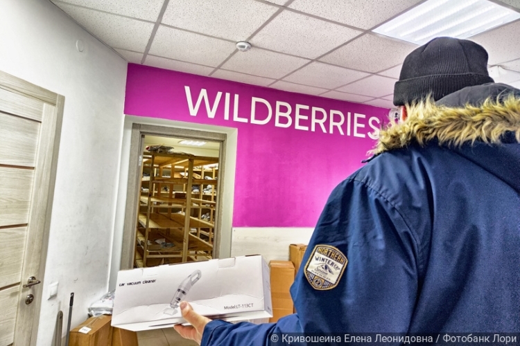 ПВЗ у бабушки: Wildberries превращает жителей деревень в партнеров