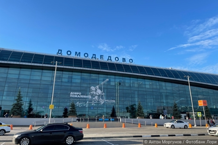 Штрафной круг для «Домодедово»: аукцион ушел на второй заход Штрафной круг для «Домодедово»: аукцион ушел на второй заход