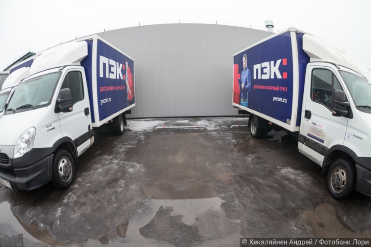 Свой полис в кармане: ПЭК и «Деловые линии» рассматривают приобретение страховых лицензий