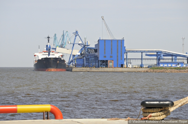 Март близко, выхода нет: порты Финского залива готовятся к худшему